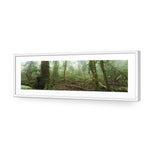 Mossy Rainforest