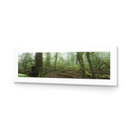 Mossy Rainforest