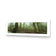 Mossy Rainforest