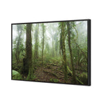Mossy Rainforest