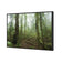 Mossy Rainforest