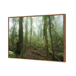 Mossy Rainforest