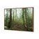 Mossy Rainforest