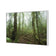 Mossy Rainforest