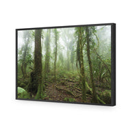 Mossy Rainforest