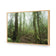 Mossy Rainforest