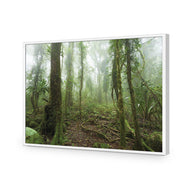 Mossy Rainforest