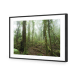 Mossy Rainforest