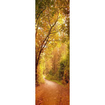 Autumn Pathway