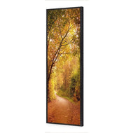Autumn Pathway