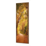 Autumn Pathway