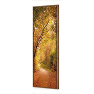 Autumn Pathway