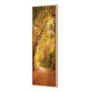 Autumn Pathway