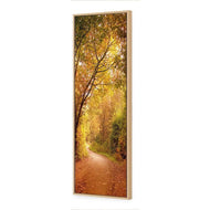 Autumn Pathway