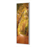Autumn Pathway