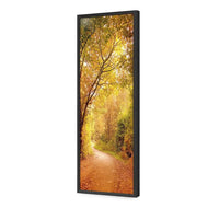 Autumn Pathway