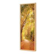 Autumn Pathway