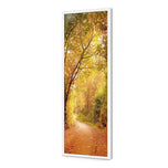Autumn Pathway
