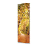 Autumn Pathway