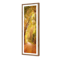 Autumn Pathway