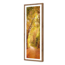Autumn Pathway