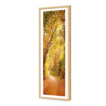 Autumn Pathway