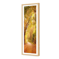 Autumn Pathway