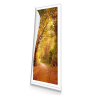 Autumn Pathway