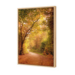 Autumn Pathway