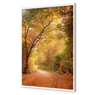 Autumn Pathway