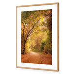 Autumn Pathway