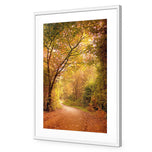 Autumn Pathway