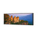 Blue Mountains