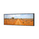 Outback Road