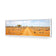 Outback Road