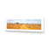 Outback Road