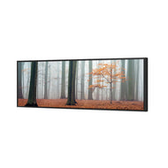 Misty Autumn Forest