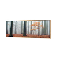 Misty Autumn Forest