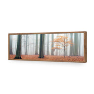 Misty Autumn Forest
