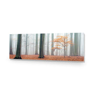 Misty Autumn Forest
