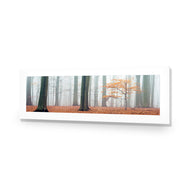 Misty Autumn Forest