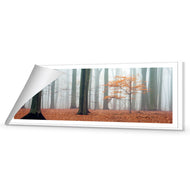 Misty Autumn Forest