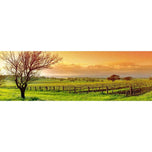 Vineyard Landscape