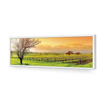 Vineyard Landscape