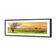 Vineyard Landscape