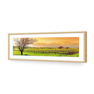 Vineyard Landscape