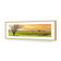Vineyard Landscape