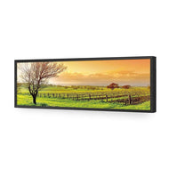 Vineyard Landscape
