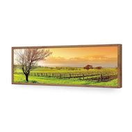 Vineyard Landscape
