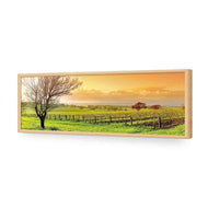 Vineyard Landscape